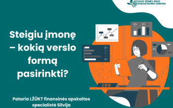 steigiu-versla_kokia-forma-pasirinkti_versli-mama
