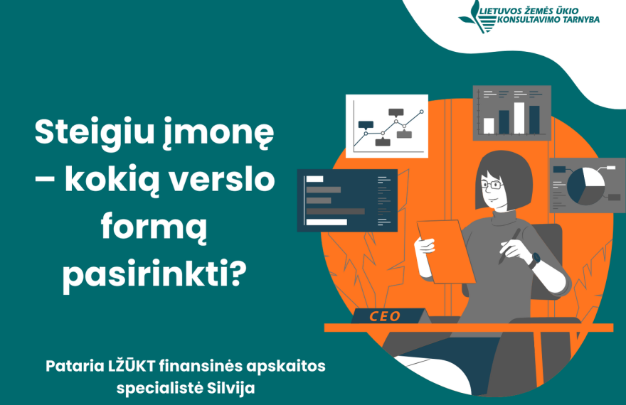 steigiu-versla_kokia-forma-pasirinkti_versli-mama